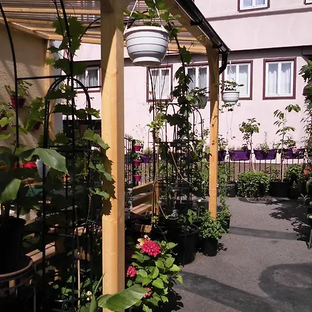 Monteur-unterkunft Calwer Höfle Apartment