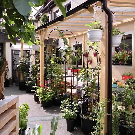 Calwer Hoefle Biergasse - Fuer Firmen, Handwerker Und Monteure Apartament *