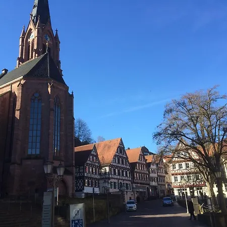 Apartment Monteur-unterkunft Calwer Höfle Calw
