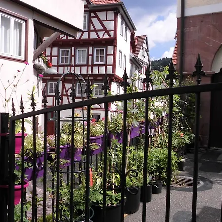 Calwer Höfle Biergasse - Für Firmen, Handwerker Und Monteure Apartamento *