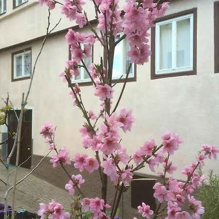 아파트 Calwer Hoefle Biergasse - Fuer Firmen, Handwerker Und Monteure 칼프