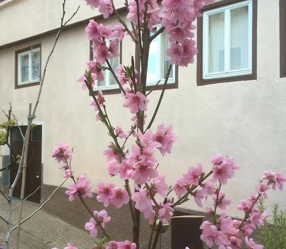 Lägenhet Calwer Hoefle Biergasse - Fuer Firmen, Handwerker Und Monteure Calw